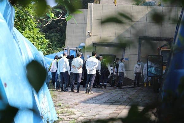 台北市立動物園謹慎地將阿河卸載處包圍，避免媒體捕捉到遺體與解剖血腥畫面。　李娉婷/攝