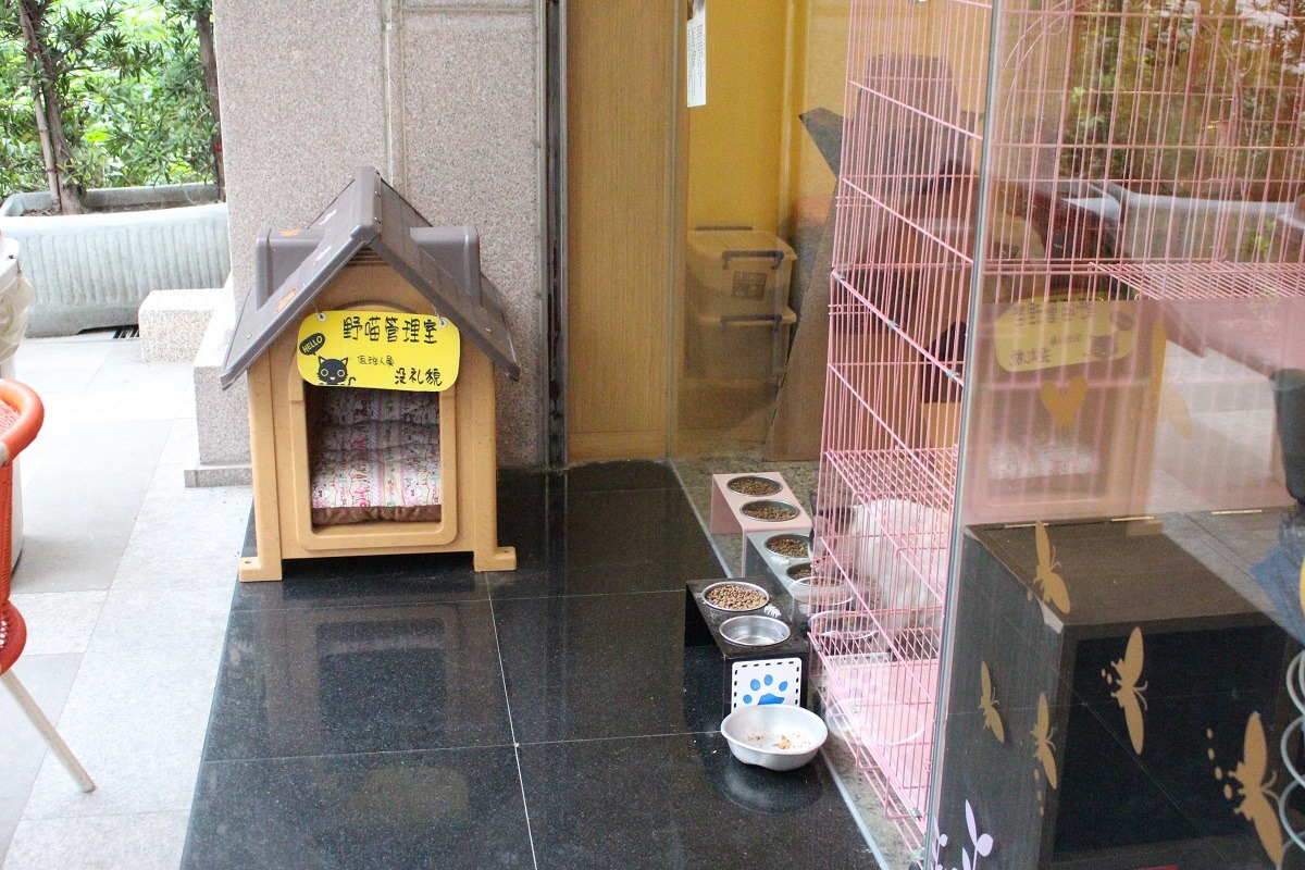 因為沒禮貌不願待在室內，野貓中途咖啡只好在店外幫牠準備遮風避雨的小屋。（罐頭都吃光了，剩下滿滿的乾飼料！） 李娉婷/攝