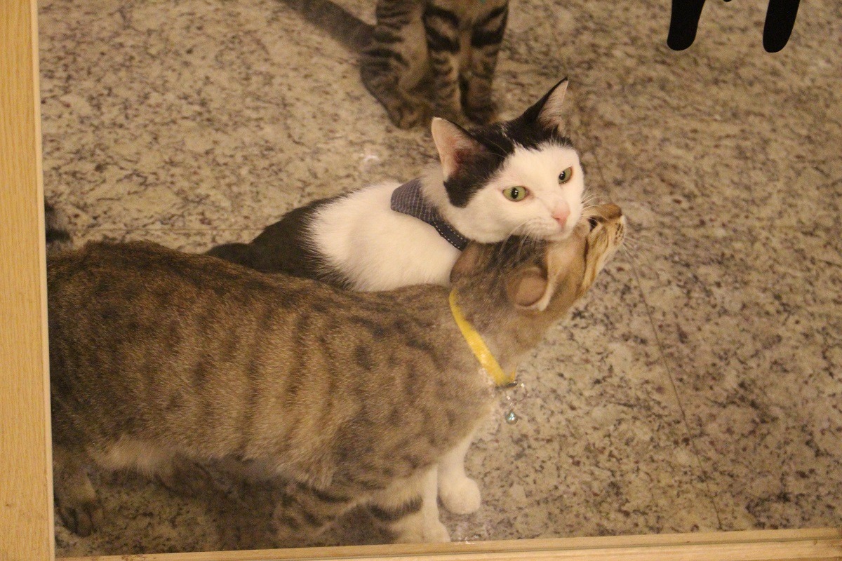 跟我玩嘛～　李娉婷/攝