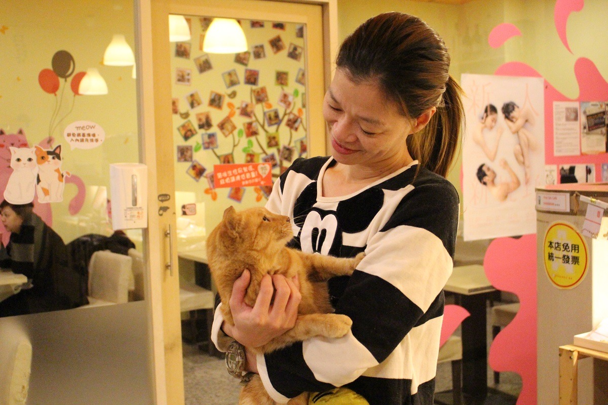許小野與沒禮貌，只有熟人才能抱沒禮貌，一般平民只能摸摸牠。　李娉婷/攝
