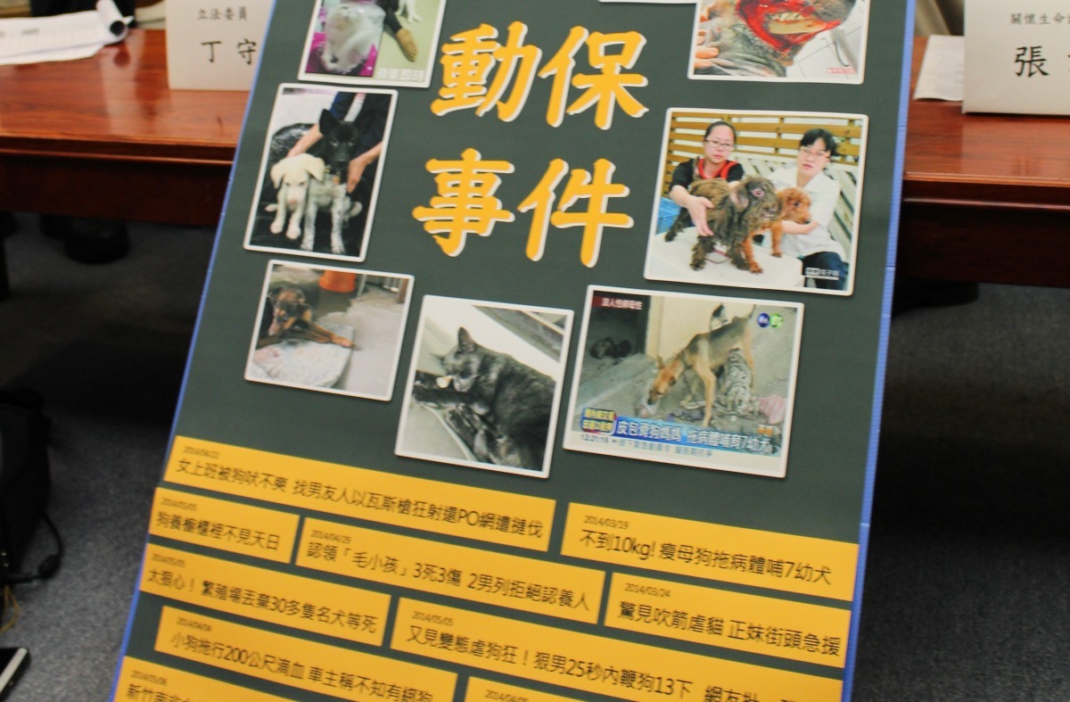 虐待動物案件頻傳。 台灣動物新聞網資料照(何宜/攝)