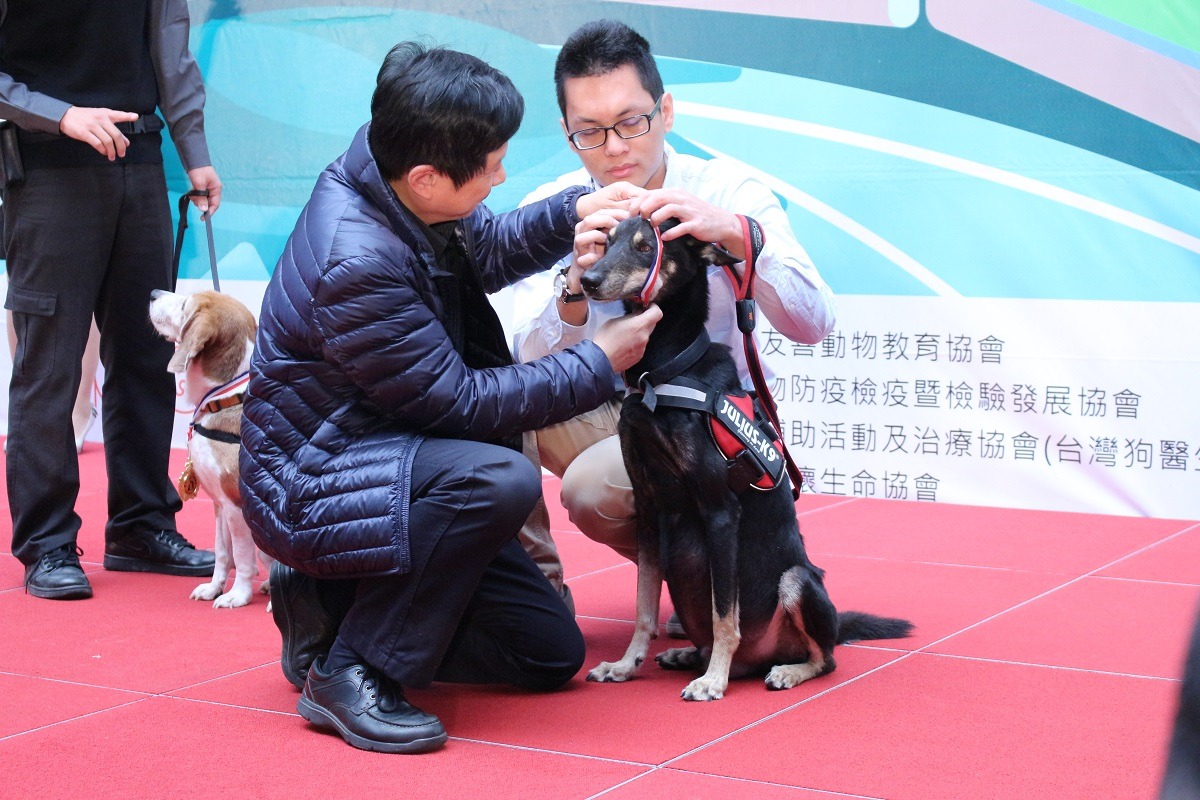 台北市產業發展局局長林崇傑為小黑戴上動物英雄勳章。　李娉婷/攝