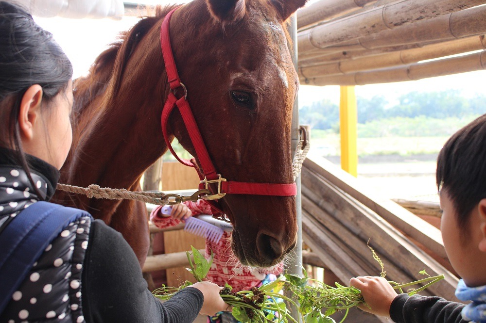 上個月中,水牛學校舉辦「茱麗葉平安滿月聚會」,慶祝茱麗葉來到水牛學校滿一個月。 李娉婷/攝