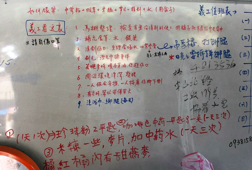 馬廄旁的白板上清楚列出茱麗葉的照顧流程。 李娉婷/攝