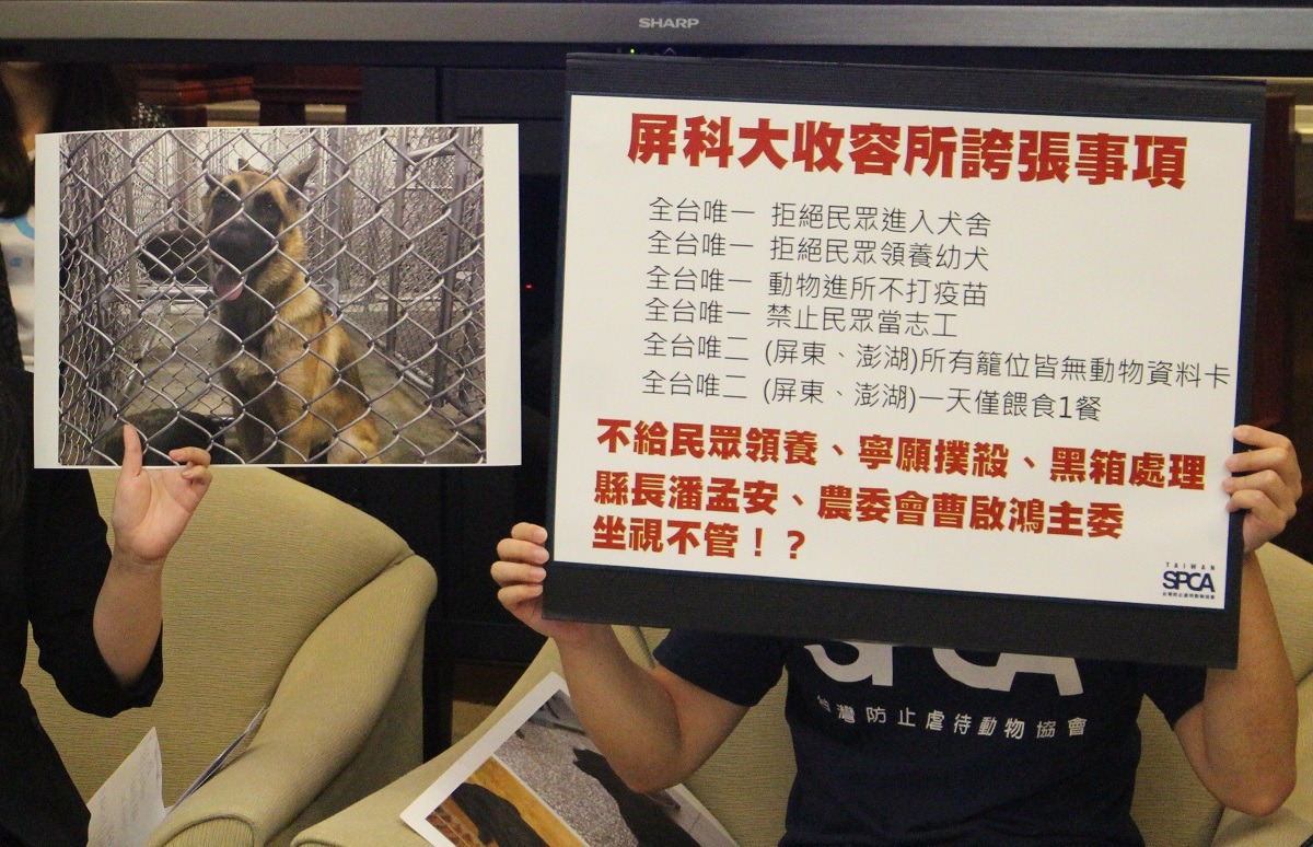 TSPCA上個月指出屏科大收容所多項缺失，屏東縣家畜疾病防治所近來表示，除了施打疫苗須視動物狀況而定外，其餘皆已改善。　台灣動物新聞網資料照(李娉婷/攝)