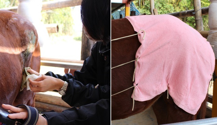 清潔完褥瘡傷口、上好藥後，義工會用乾淨浴巾將傷口覆蓋，避免感染。若是有乾淨的二手浴巾歡迎捐給茱麗葉！　李娉婷/攝