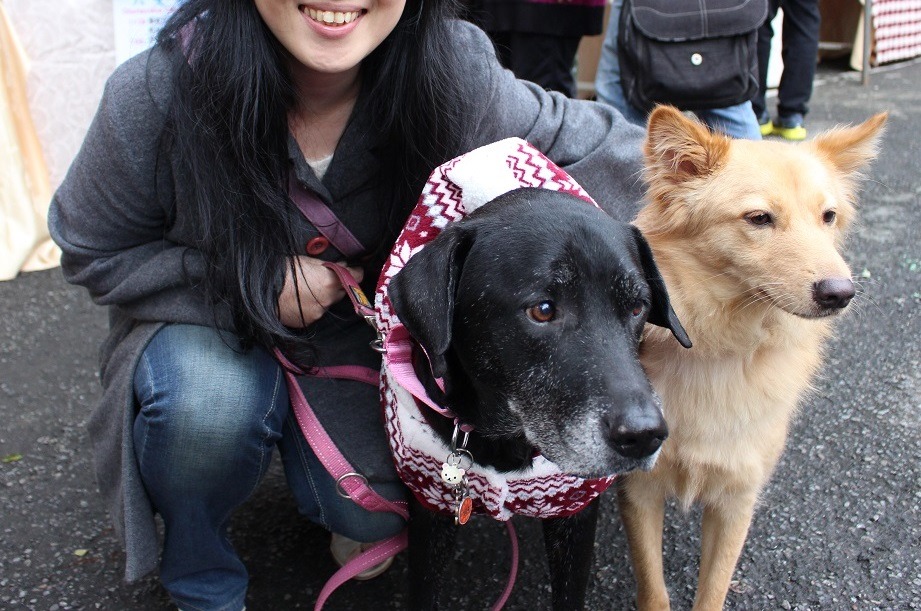 去年底，楊小姐帶著羊羊（黑）、咩咩（黃）回台北市動物之家參加領養狗回娘家活動。 李娉婷/攝