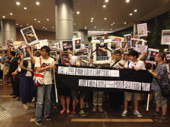 未雪事件令愛護動物人士憤怒，去年有多場抗議活動。　取自香港動物報