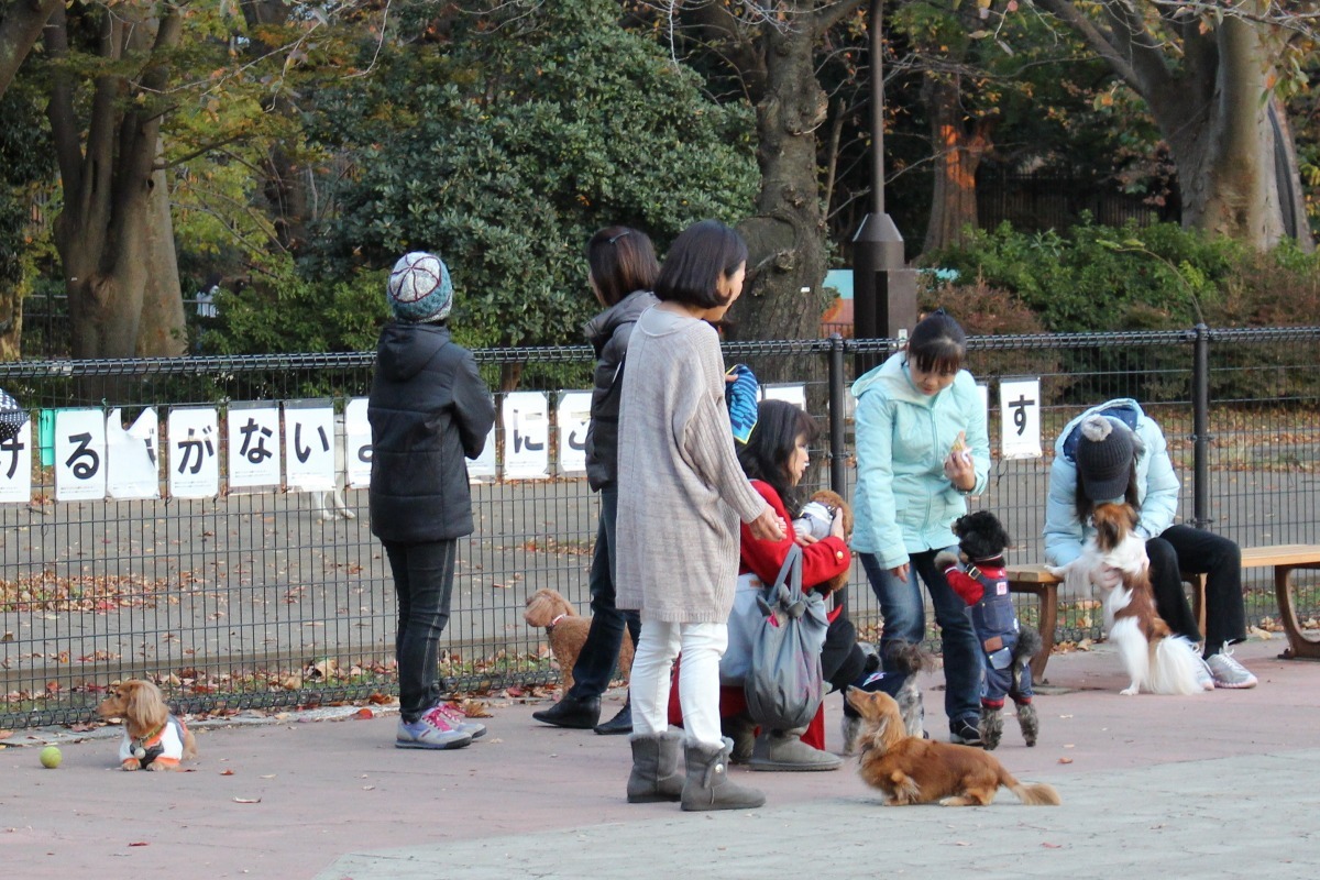 台灣動物新聞網資料照(何宜/攝)