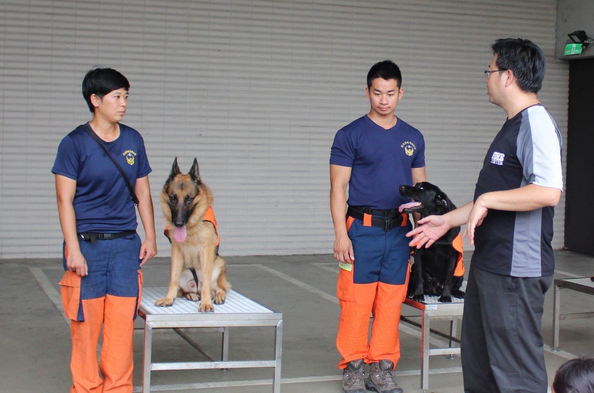 等待指令時，無敵與爾文的行為模式截然不同。 李娉婷/攝