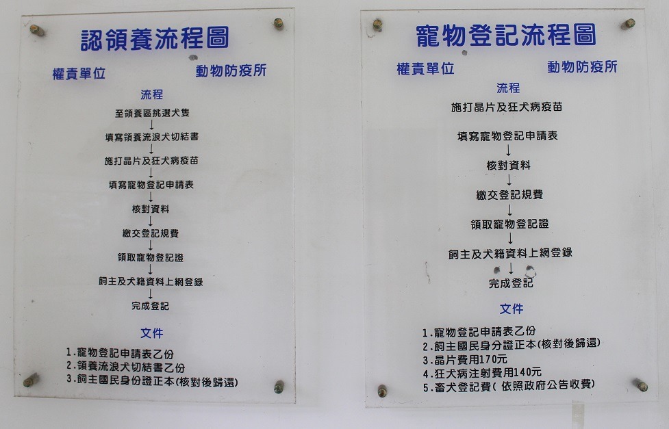 新屋收容所認領養流程。　台灣動物新聞網資料照(何宜/攝)