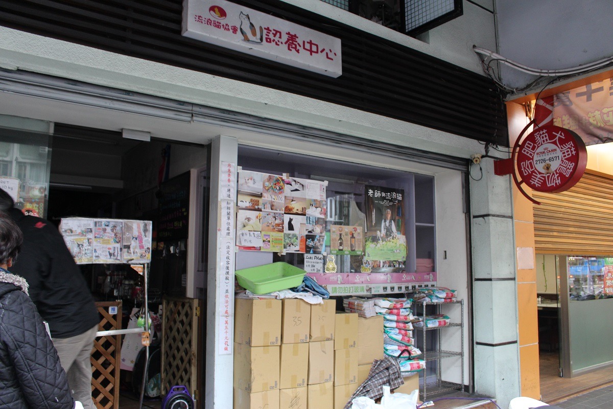 臺北市流浪貓保護協會的認養中心與理事長崔智映所開設的「肥貓犬貓寵物美容」共用空間。　李娉婷/攝