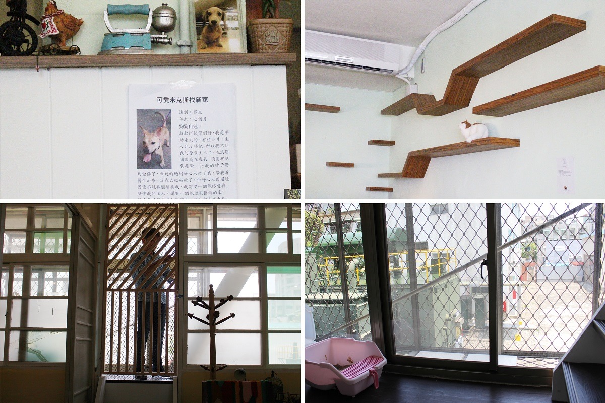有些體型太大的狗狗不適合在店內中途，「浪浪別哭」也協助張貼認養公告；貓咪區則是加強圍籬，給貓咪一個安全舒適的空間，雖然一樓的貓跳台用不到了，不過二樓還有大大的窗戶能夠眺望戶外，貓咪還是可以玩得很開心！　李娉婷/攝