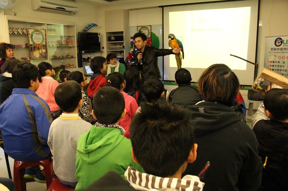 鸚鵡助教小乖教小朋友認識牠的同類。　李娉婷/攝