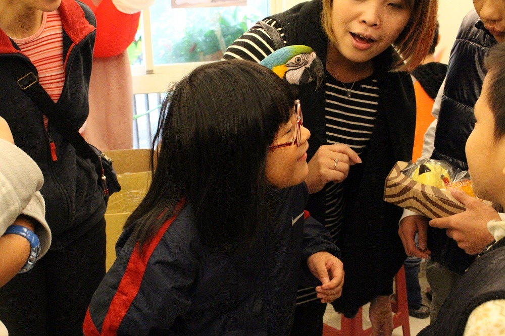 助教小乖喜歡黏在人的肩膀上，相當的可愛。　李娉婷/攝