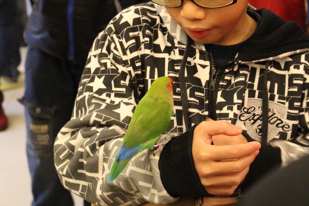 嗨！雖然是第一次見面，但我喜歡你。　李娉婷/攝