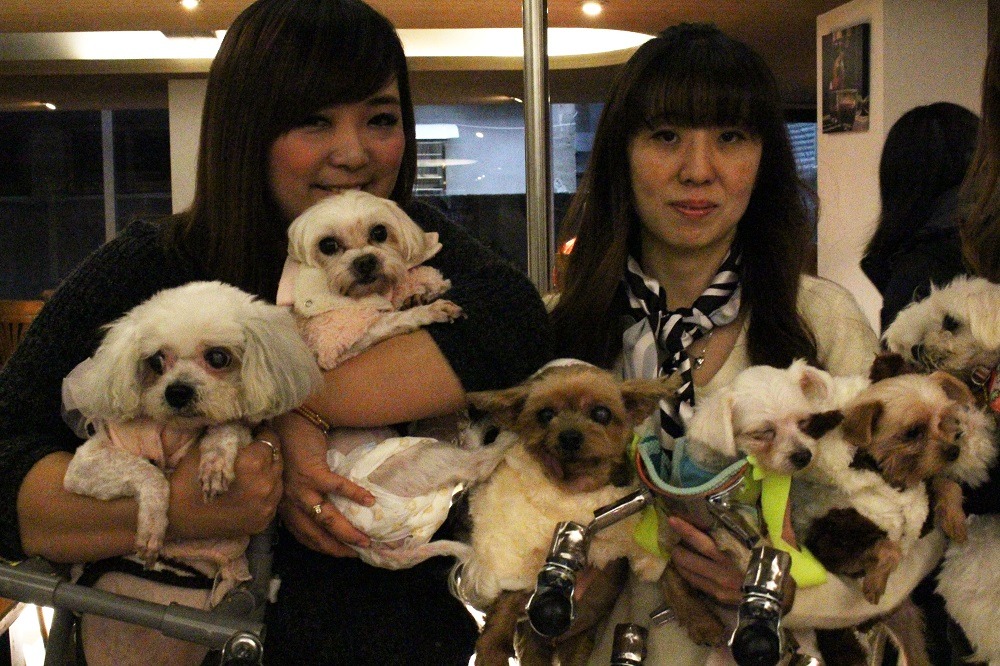 陳亮亮(左)因為樂樂(左)開啟救援馬爾濟斯之路，她的另一隻狗妮妮(左二)也是10多年前從收容所領養，剛領出就花了2萬元替牠動唇顎裂手術。　李娉婷/攝