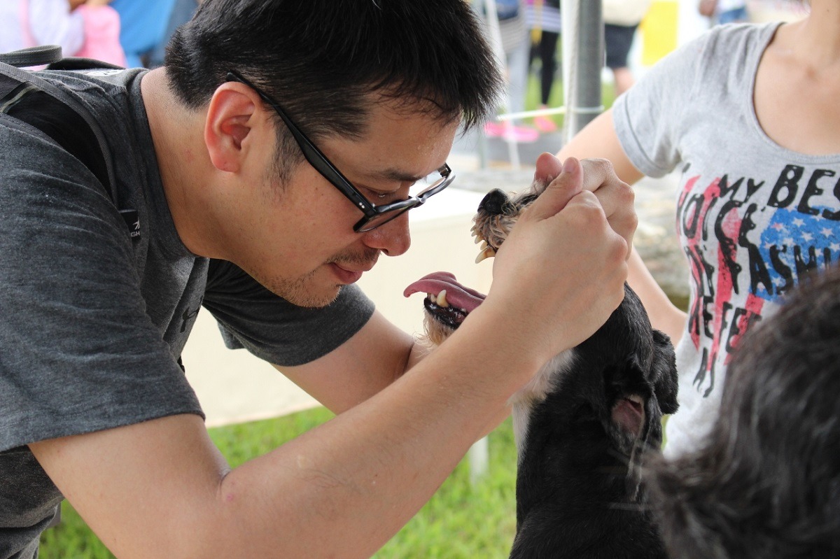 寵物在許多人眼中已不是物品，飼主會想盡辦法滿足寵物的各種需求。 何宜/攝