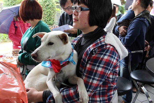 露露是沒有絕育的放養家犬的小孩，在進收容所前被李小姐攔下帶回家，李小姐也提醒飼主們記得帶寵物絕育，避免發生意外。　李娉婷/攝