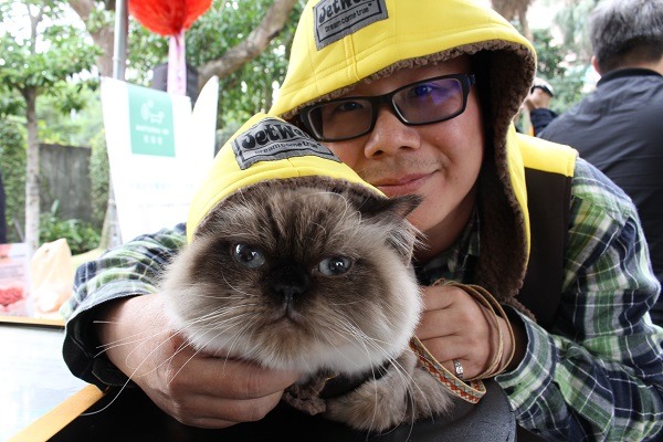 嘟嘟的前主人因為「神明說我身體不好是因為養貓的關係」而棄養牠，7年前剛來到林先生家時每天都縮在角落哭，本來只打算當中途之家的林先生不忍心讓牠再經歷一次分離，於是收養了牠，現在10歲的嘟嘟和林先生家中的另外3隻貓咪幸福的生活著，眼睛圓滾滾、亮晶晶的，沒有再哭過。