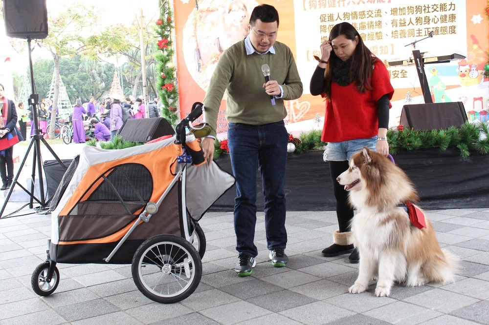 寵物友善協會執行長Louis說明籠內訓練的重要，由哈士奇麥可示範快樂上推車。　李娉婷/攝