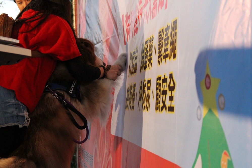 狗狗代表麥可「簽署」散步公約，提醒飼主們帶狗狗出門散步記得要「打疫苗、除蚤藥、繫牽繩、撿狗便、沖狗尿、顧安全」！　李娉婷/攝