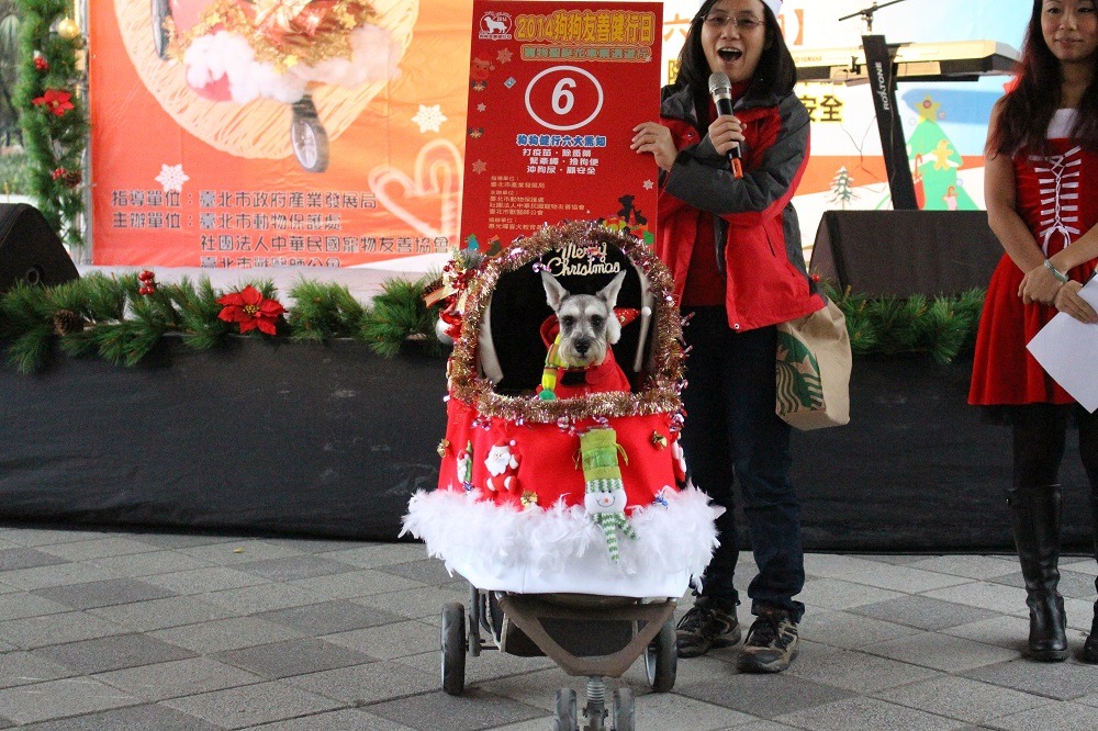 最後一組最佳造型是雪納瑞萌萌與牠的聖誕襪推車，萌萌的媽媽花了一個禮拜裝飾推車，是全手工縫製唷！　李娉婷/攝