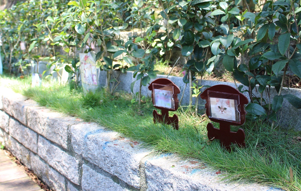 視動物如親屬的感性,或許常被視為現代社會的產物,但其實在歷史中不難找到許多類似故事。 台灣動物新聞網資料照(何宜/攝)