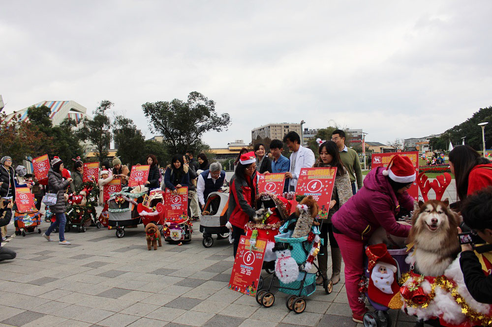 飼主們把寵物推車裝飾成華麗的聖誕花車，請現場民眾票選。　李娉婷/攝