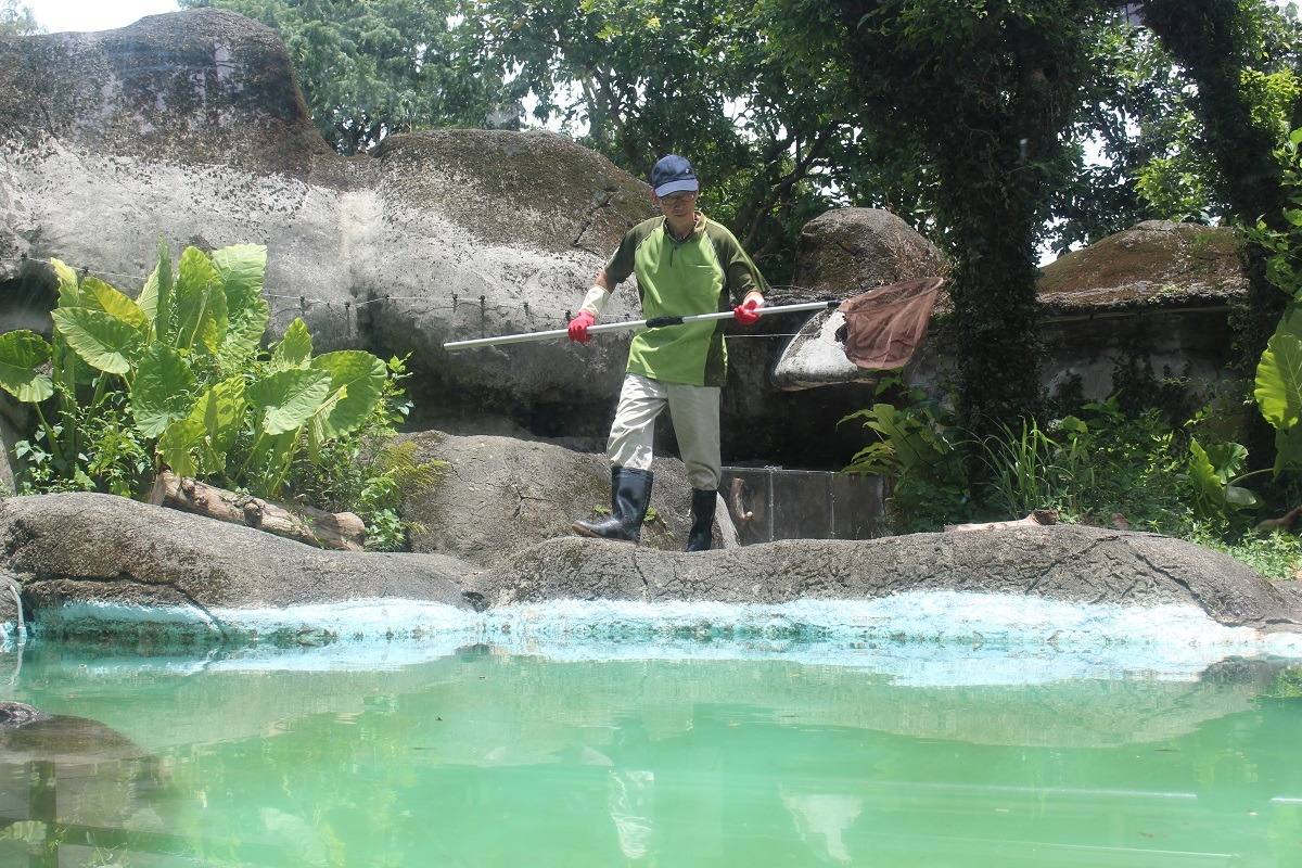 保育員的工作有餵食、清理糞便、例行檢查、與遊客互動等，相當忙碌。　台灣動物新聞網資料照(李娉婷/攝)