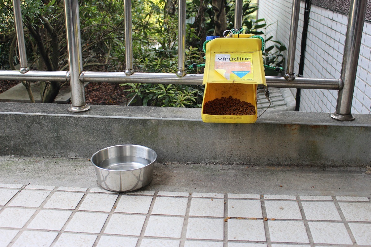 新北市動保處除了輔導新北市的餵養人外,也擬將提供食器協助落實乾淨餵食。 示意圖,圖為基隆市寵物銀行示範之乾淨餵食食器(李娉婷/攝)