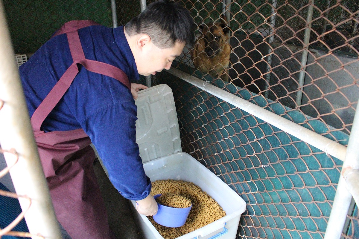 收容動物的日常照顧一般有約僱人員執行。 台灣動物新聞網資料照(李娉婷/攝)