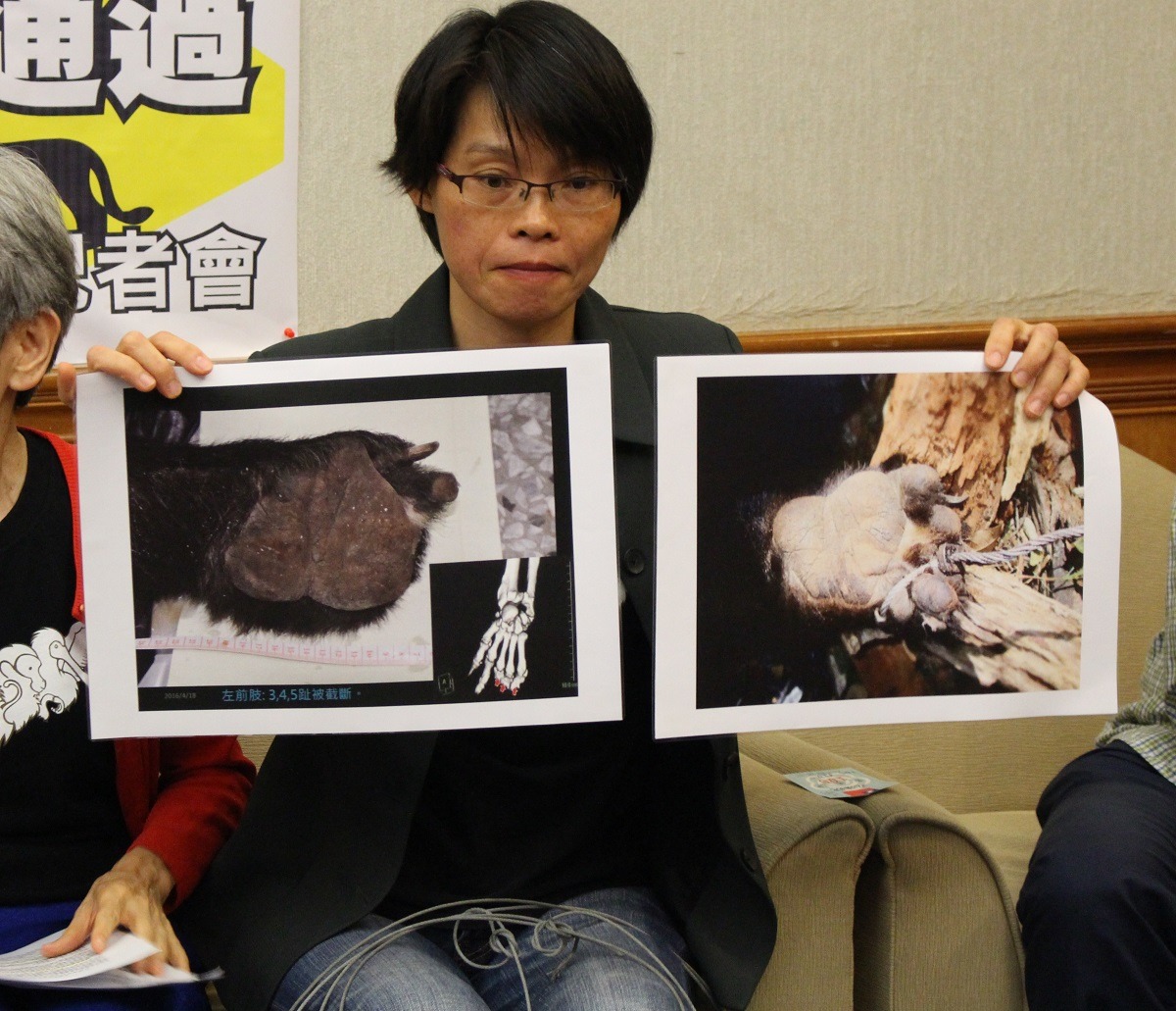 台灣黑熊保育協會創辦人黃美秀在去年4月的一場記者會中,展示手掌被鋼索陷阱纏住的台灣黑熊照片。 台灣動物新聞網資料照(李娉婷/攝)