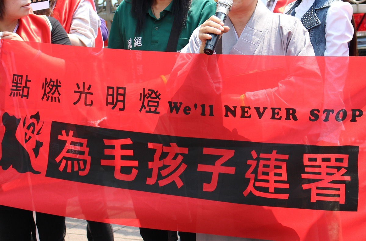 民雄收容所事件後，加重動保法中刑責的呼聲越來越高。　台灣動物新聞網資料照(李娉婷/攝)