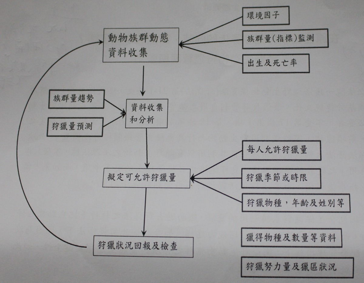 屏科大野保所建議之野生動物狩獵利用管理流程。 屏科大野保所/提供,李娉婷/翻攝
