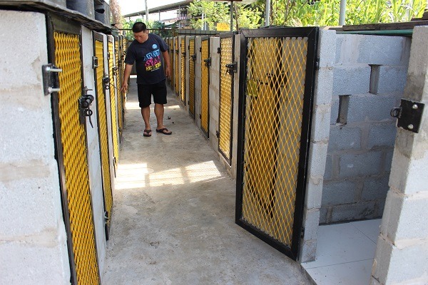 Sam的收容所,硬體設施相當講究,但是只有他一人打理,常常要從早忙到晚。 李娉婷/攝