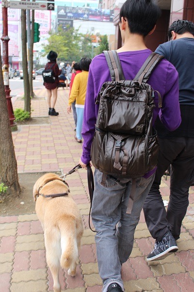 Gus的導盲工作只剩下幾日,接下來的日子牠會有更多的玩樂時間,但同時也要面對與威諭分離的難過,最近一人一狗情緒都有些低落。 李娉婷/攝