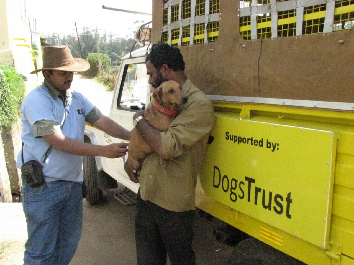 Dogs Trust資助他國團體進行動保工作。 取自Dogs Trust