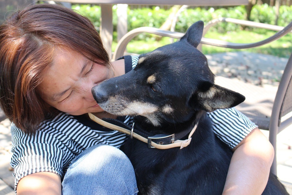 陳美秀帶著小黑上班,板橋動物之家有大片草地讓小黑奔跑。(小黑趁機偷親人!) 李娉婷/攝