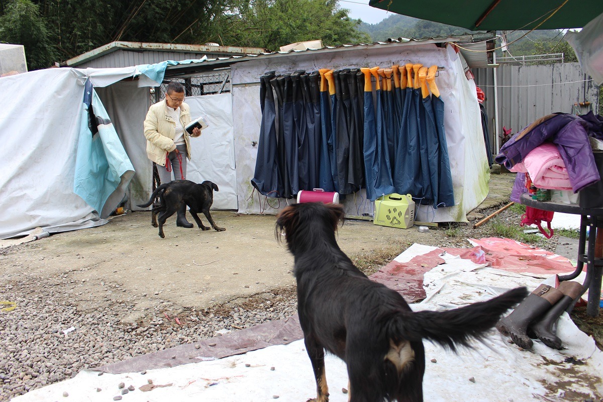 張媽媽準備了一排青蛙裝,讓來幫忙的志工不會被狗狗撲得滿身泥。 台灣動物新聞網資料照(李娉婷/攝)