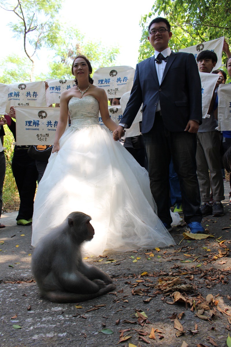 林美吟與吳皓鈞攜手走過「理解X共存」旗幟排列出的步道，小花童沿路撒枯葉代替花朵。　李娉婷/攝