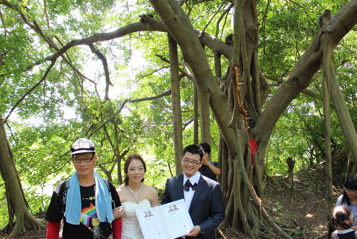   「獼猴爸爸」林金福為林美吟、吳皓鈞主持婚禮，你看見趴在樹枝上觀禮的獼猴們了嗎？　李娉婷/攝