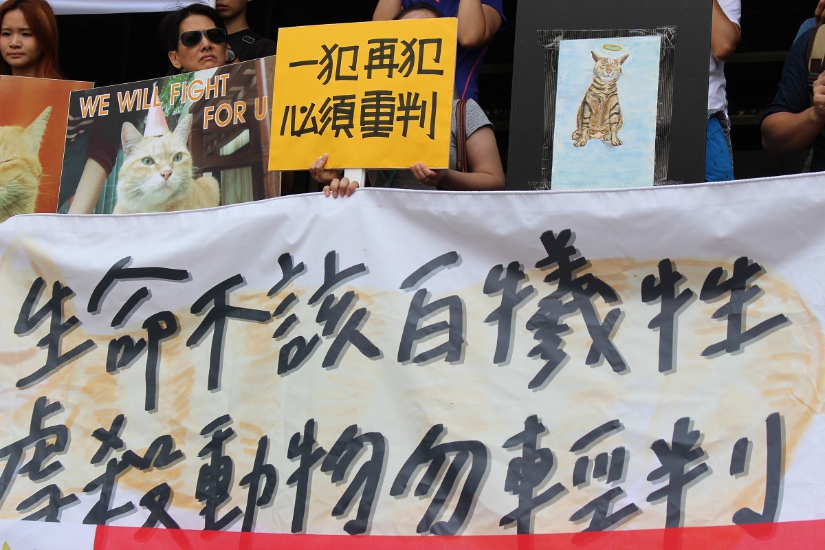 8月中,大橘案第一次開庭前,數百位民眾聚集台北地方法院前,要求司法審判勿輕縱。 台灣動物新聞網資料照(李娉婷/攝)