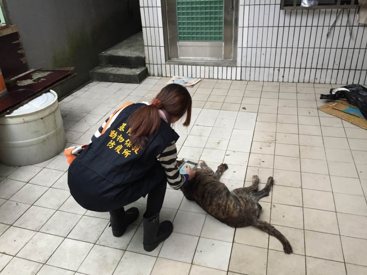 基隆市動物保護防疫所21日接獲虐待動物通報，動保員前往稽查。　基隆市動物保護防疫所/提供
