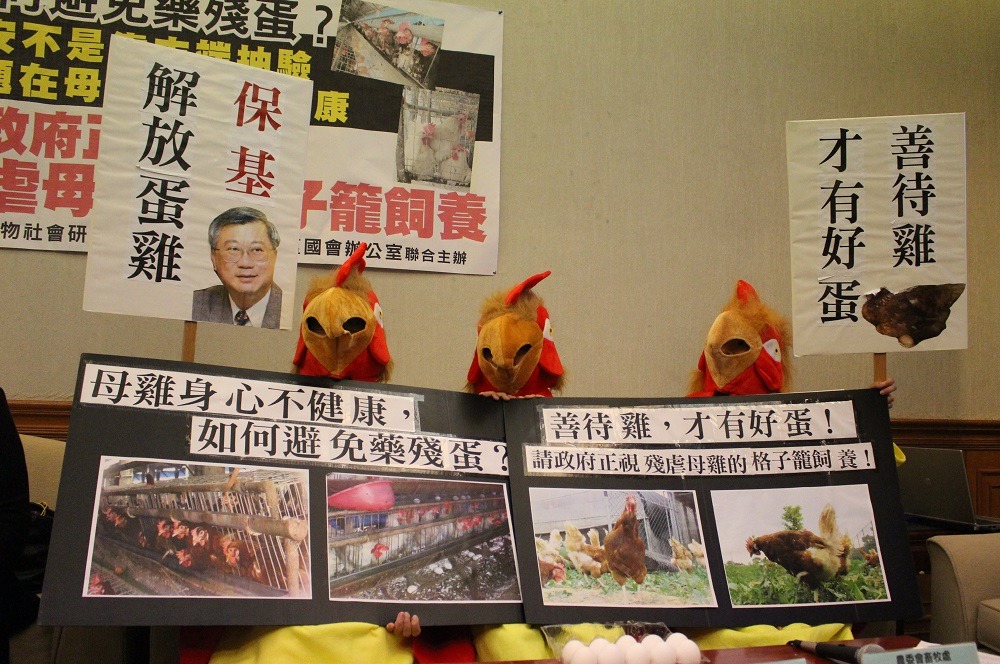 台灣動物社會研究會與立法委員田秋堇今日為藥殘蛋問題召開記者會。 李娉婷/攝