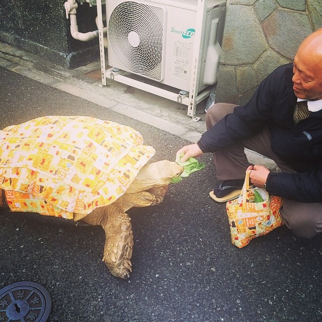 與小砰衣服同色的提袋中有牠的點心。 Instagram _ayagassen