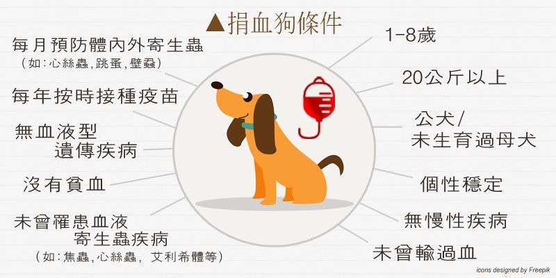 狗狗若能成為捐血狗,表示飼主照顧的非常好! 何宜/製圖