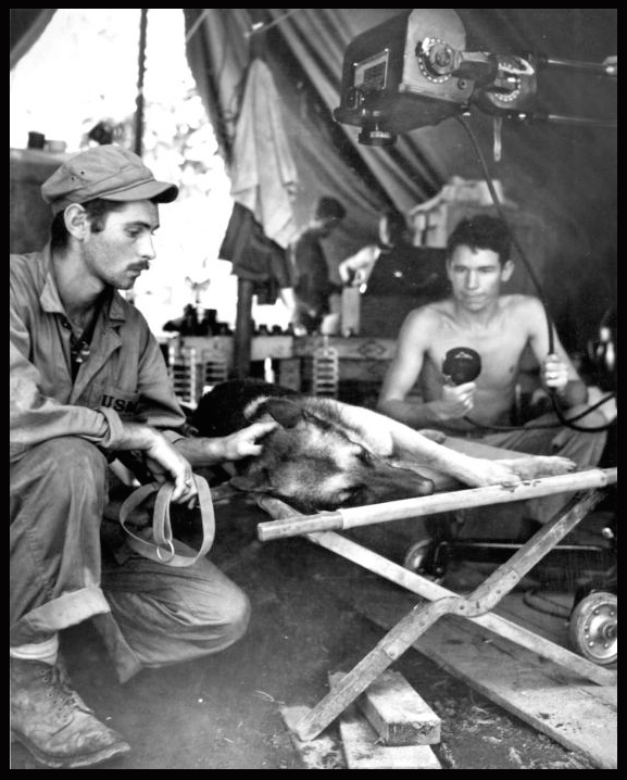 西方社會對於跟狗的深厚關係,有一部份來自於戰爭中互相高度依賴的生死夥伴,是台灣歷史脈絡無法相比的另一種情感關係。 吳浮/提供