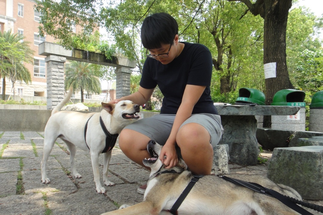 Mumu是林于晴（圖）唯一收編的狗兒，還會協助其他浪浪適應環境。  江幸芸/攝
