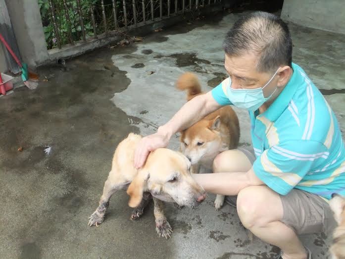 鄭老先生2年前也罹癌，仍對自家狗兒不離不棄，並Mini互相鼓勵、一同抗癌。　新北市動保處/提供